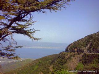 ntuario Dinnammare-10-05-2015 19-00-46